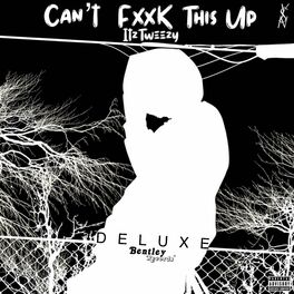Album cover of Can't Fxxk This Up (Deluxe)