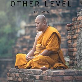 Album cover of Other Level