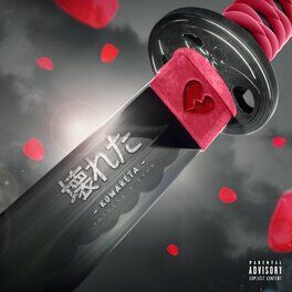 Album cover of Kowareta