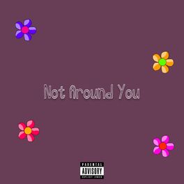 Album cover of Not Around You (feat. Helios, Damha & KoB)