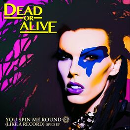 Dead Or Alive Discography