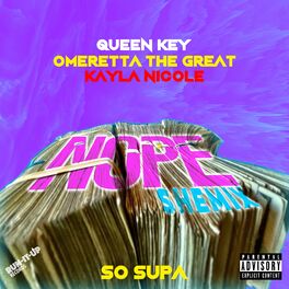 Album cover of NOPE SHEMIX