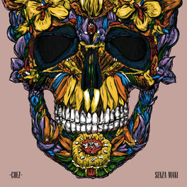 Album cover of Senza mani