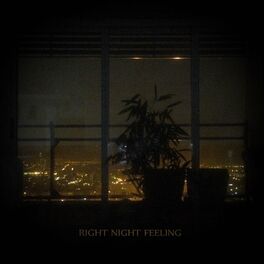 Album cover of Right Night Feeling