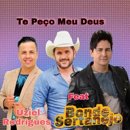 Album cover of Te Peço Meu Deus