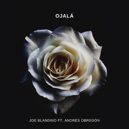Album cover of Ojalá