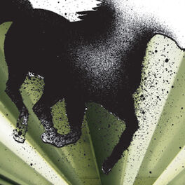 Album cover of The Dark Horse