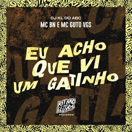 Album cover of Eu Acho Que Vi um Gatinho