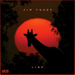 Album cover of Link