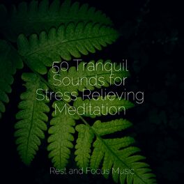 Album cover of 50 Tranquil Sounds for Stress Relieving Meditation