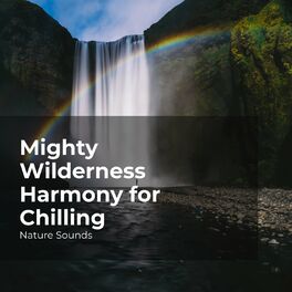 Album cover of Mighty Wilderness Harmony for Chilling