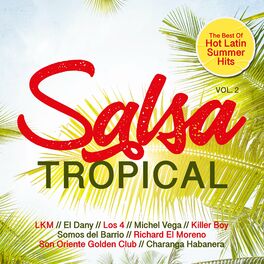 Album cover of Salsa Tropical, Vol. 2 - Best of Hot Latin Summer Hits