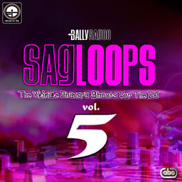 Album cover of Sagloops Volume 5 - The Ultimate Bhangra Shouts For The DJ