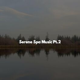 Album cover of Serene Spa Music Pt.2