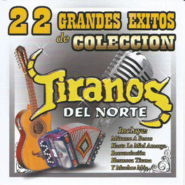 Album cover of 22 Grandes Exitos de Coleccion
