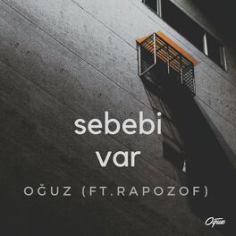 Album cover of Sebebi var (feat. rapozof)