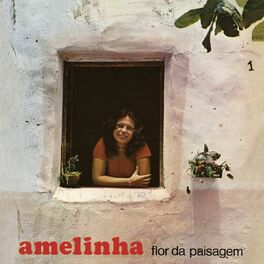 Album cover of Flor Da Paisagem