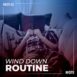 Album cover of Wind Down Routine 011