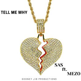 Album cover of Tell Me Why (feat. Mezo)