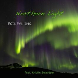 Album cover of Northern Light