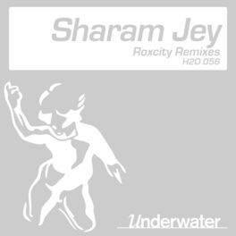 Album cover of Roxcity Remixes