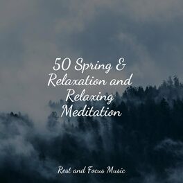 Album cover of 50 Spring & Relaxation and Relaxing Meditation