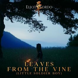 Album cover of Leaves from the Vine (Little Soldier Boy)
