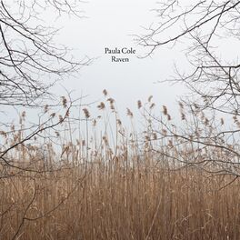 Album cover of Raven