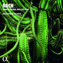 Album cover of Bach: Sonates en trio, BWV 525-530 (Alpha Collection)