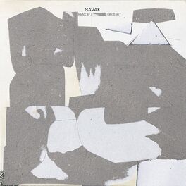 Album cover of Error / Delight