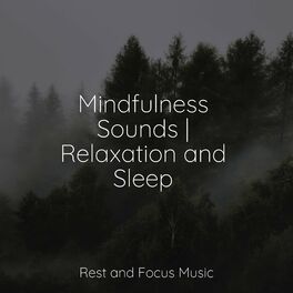 Album cover of Mindfulness Sounds | Relaxation and Sleep