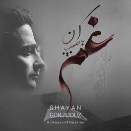 Album cover of Gham Ba Tabiban (feat. Homayoun Shajarian & Hossein Alizadeh)