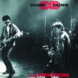 Album cover of Dumb Numb CD