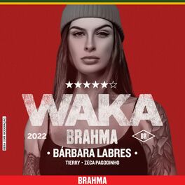 Album cover of Waka Brahma (Remix)