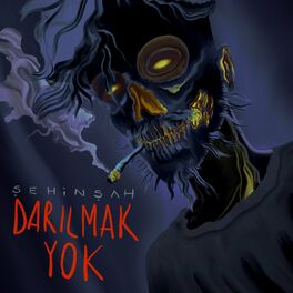 Album cover of Darilmak Yok