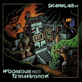 Album cover of Skank Lab #9 (Woobedub meets Tetra Hydro K)