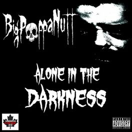 Album cover of Alone In The Darkness