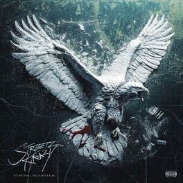 Album cover of Streetz Krazy
