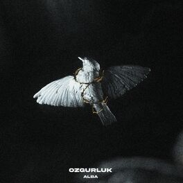 Album cover of ÖZGÜRLÜK.