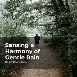 Album cover of Sensing a Harmony of Gentle Rain