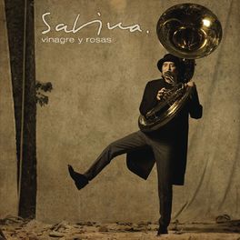 Album cover of Vinagre Y Rosas