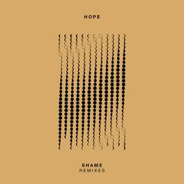 Album cover of Shame Remixes