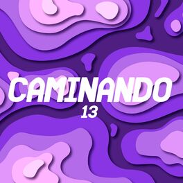 Album cover of Caminando 13