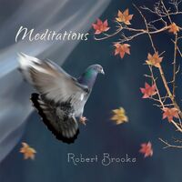Robert Brooks: albums, songs, playlists | Listen on Deezer