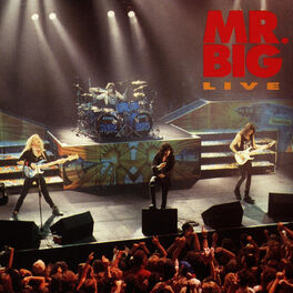 Album cover of Mr. Big Live