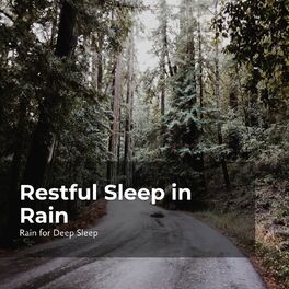 Album cover of Restful Sleep in Rain