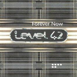 Album cover of Forever Now