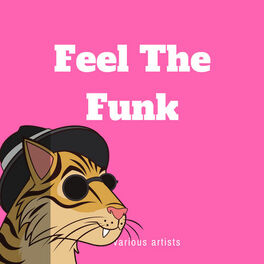 Album cover of Feel the Funk