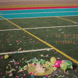 Album cover of crickets