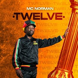 Album cover of Twelve